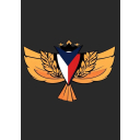 Czech phoenix brigade