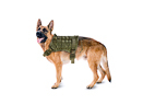 Equipment for dogs