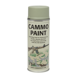 Cammo Paint spray grey