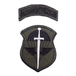 Patch - Recon team green