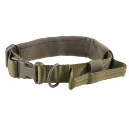 Tactical dog neck collar, olive