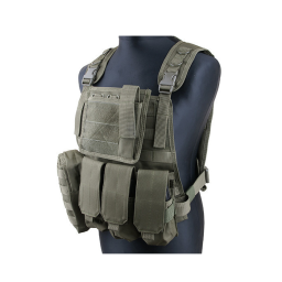 MOLLE Plate carrier MBSS w/ pouches - Olive