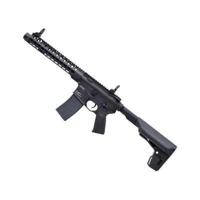                             VM4 Ronin 10 SBR AEG 2.5                        