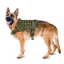 Equipment for dogs