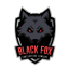 BlackFox Contractors Company